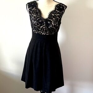 White House Black Market Lace Bodice Fit and Flare Dress Size 2